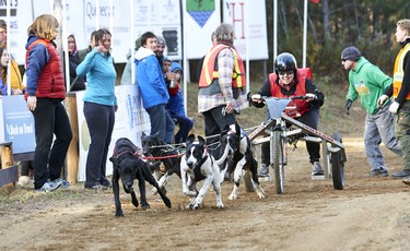 Competitors from 10 provinces and three territories will compete at the 2019 Canadian National Championships, racing single-, four-, six- and eight-dog teams.