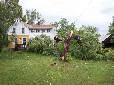 A downed tree in Dunrobin as a reported tornado touched down in Dunrobin in the far west end of Ottawa. Wayne Cuddington/ Postmedia