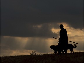 A man walks with his dogs.