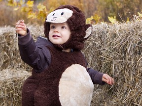 Before children learn how to talk they use a range of hand and body movements to communicate in the same way as chimpanzees and gorillas.