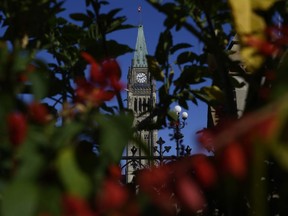 The Peace Tower on Parliament Hill is seen past flowers in Ottawa on Sunday, Sept. 16, 2018.