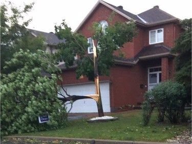 Strong winds damaged a tree in a neighbourhood near the intersection of Zaiden Drive and Johnston Road.
Photo by Jadie Leung