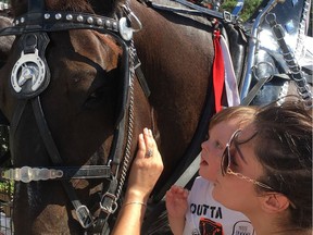 Ariel Kenny-Walters, with godson Jace Lameront, pat Prince, whose Percheron partner Mack died at at the Lyndhurst Turkey Fair on Saturday