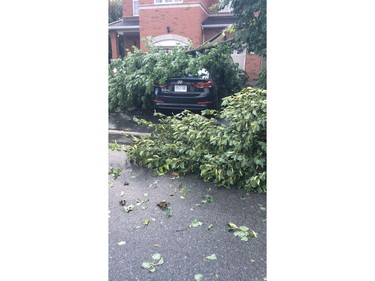 The storm damaged a car in a neighbourhood near the intersection of Zaiden Drive and Johnston Road.
