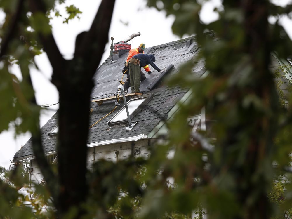 Tornado aftermath: Hundreds volunteer to help rebuild Dunrobin | Ottawa ...