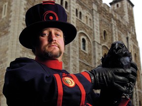 After a 24-year career in the British Army, Christopher Skaife became the Tower of London's ravenmaster.
