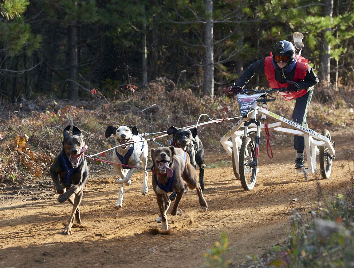 Running (and wheeling) with the big dogs! Bristol Dryland Canadian