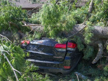 A flattened vehicle in Arlington Woods on Saturday morning as residents in Ottawa's west end deal with the aftermath of the twister that touched down on Friday afternoon.