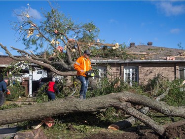 Residents begin to clear the damage on Elvaston Ave in the Craig Henry neighbourhood on Saturday morning as residents in Ottawa's west end deal with the aftermath of the twister that touched down on Friday afternoon.