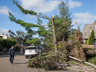 People survey the damage on Elvaston Ave in the Craig Henry neighbourhood on Saturday morning as residents in Ottawa's west end deal with the aftermath of the twister that touched down on Friday afternoon.