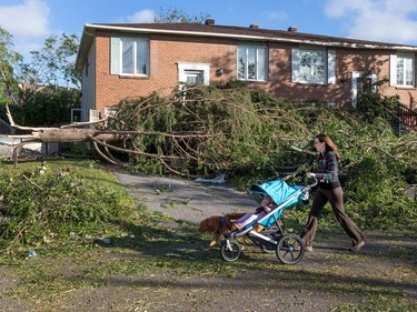 A woman walks past a damaged home in Craig Henry on Saturday morning as residents in Ottawa's west end deal with the aftermath of the twister that touched down on Friday afternoon. Photo by Wayne Cuddington/ Postmedia