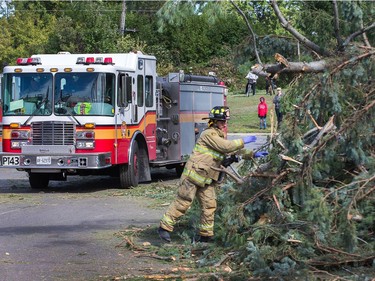 A firefighter clears brush from the road so a firetruck can gain access to the road in Arlington Woods on Saturday morning as residents in Ottawa's west end deal with the aftermath of the twister that touched down on Friday afternoon.