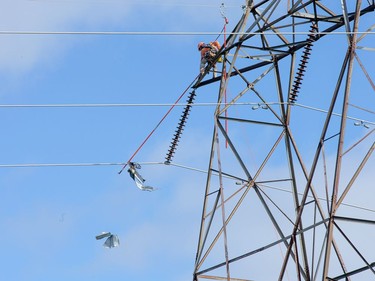 A Hydro worker clears debris from power lines in the Craig Henry neighbourhood on Saturday morning as residents in Ottawa's west end deal with the aftermath of the twister that touched down on Friday afternoon.