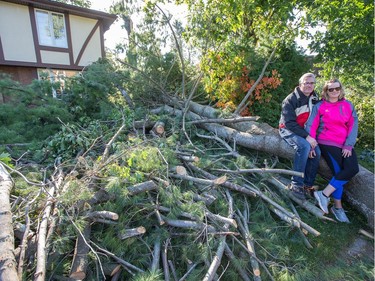 Bill Brown and his wife Kathryn Hanington sit on the debris on their front lawn on Parkland Cres in Arlington Woods as the region continues to deal with the after effects of the tornados that struck the region on Friday.