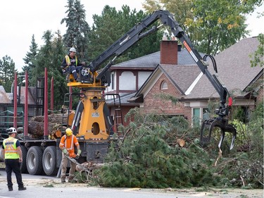 Trees and brush are cleared from a road in Arlington Woods on Saturday, eight days after a tornado hit the area. Wayne Cuddington/Postmedia