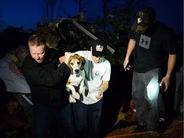 A beagle named Charlie is rescued after being found under a pile of debris after a tornado touched down in Dunrobin, Ont., west of Ottawa, on Friday, Sept. 21, 2018.