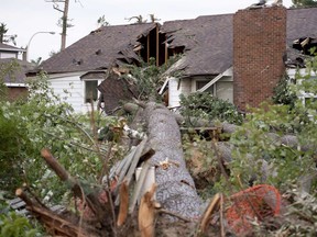 This home in the Arlington Woods area suffered massive damage where a tree fell into it during the tornado.