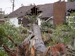 Some of the destruction caused by a tornado near Ottawa, in the Arlington Woods neighbourhood.