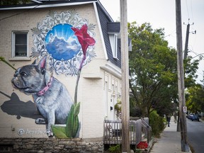 A view of the two-storey mural that Sara May had painted on her Stirling Ave home in Hintonburg.   Ashley Fraser/Postmedia