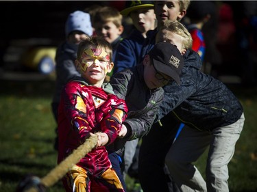 Oliver Maxwell-Swinburne gets into the tug of war competition during Pumpkins in the Park on Saturday.   Ashley Fraser/Postmedia