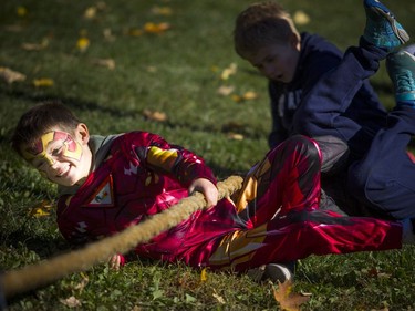 Oliver Maxwell-Swinburne gets into the tug of war competition during Pumpkins in the Park on Saturday.   Ashley Fraser/Postmedia