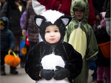 One and a half-year-old Emery Andre was dressed as a very cute skunk at the City Hall Halloween on Saturday.    Ashley Fraser/Postmedia