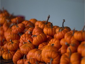 Files: Pumpkins