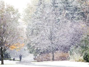 The first lasting snowfall blanket Ottawa with a dusting Sunday October 28, 2018.    Ashley Fraser/Postmedia