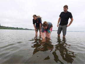 Andrew King, left, Nadine Kopp and Ben Mortimer look at a possible shipwreck found in the Ottawa River. Jean Levac/Postmedia