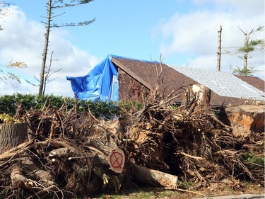 October 12, 2018.: L Tree stumps lined the streets of the Arlington Woods area in Ottawa due to the damage caused by the tornado,