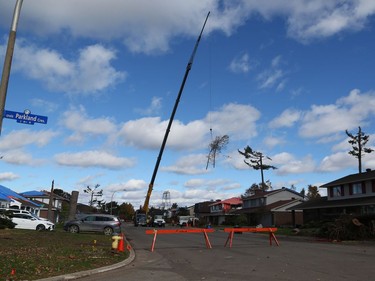 Look back at the Tornado and the communities affected by it. Crews remove trees from the Arlington Woods area in Ottawa due to the damage caused by the tornado,