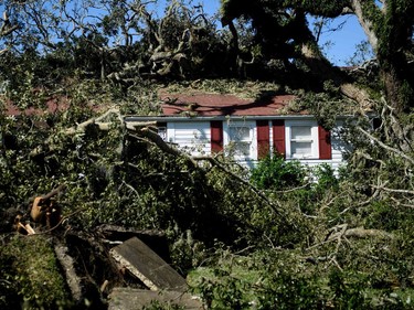 A house is seen covered in a fallen tree and limbs in the aftermath of Hurricane Michael on October 11, 2018 in Panama City, Florida. - Residents of the Florida Panhandle woke to scenes of devastation Thursday after Michael tore a path through the coastal region as a powerful hurricane that killed at least two people.