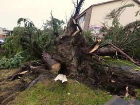 The tornado caused severe damage in the Woodvale Green area of Ottawa.