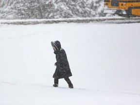 A woman trudges through heavy snow in Confederation Park in Calgary on Tuesday morning. Accumulations of 10 to 25 cm of snow are expected in the city by the time the storm is done.