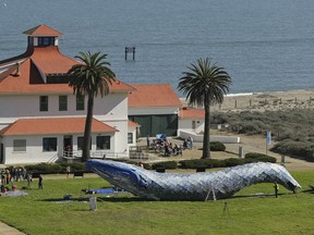 Artist Joel Deal Stockdill, lower right, works on a blue whale art piece made from discarded single-use plastic at Crissy Field Friday, Oct. 12, 2018, in San Francisco. Artists are putting the finishing touches on an 82-foot-long (24-meter-long) blue whale made from discarded plastic that will be in display near San Francisco's Golden Gate Bridge to raise awareness about ocean pollution. The Monterey Bay Aquarium said Friday a blue whale can weigh about 300,000 pounds, about the amount of plastic that ends up in the ocean every nine minutes.