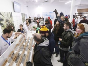 People check out the sample counter at a cannabis store in Winnipeg, Man., on Wednesday, October 17, 2018. Before going public with its cannabis-awareness ad campaign, the Manitoba government turned to experts for advice from teens and young adults.
