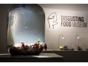 In this photo taken on Sept. 22, 2018 a container of Mice wine on display at the Disgusting Food Museum, in Malmo, Sweden. Baby mice are drowned and brewed in rice wine and the brew is matured for up to a year before drinking. Dozen of foods likely to provoke extreme disgust in many people _ but considered palatable, even precious delicacies, in their home cultures _ go on display Wednesday, Oct. 31, 2018 as the Disgusting Food Museum makes its world premiere in Malmo, Sweden. (Anja Barte Telin via AP)