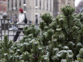 There were reports of snow dustings Thursday morning. File photo