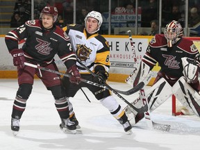 Liam Van Loon #81 of the Hamilton Bulldogs skates against Adrien Beraldo #24 of the Peterborough Petes in an OHL game at the Peterborough Memorial Centre on November 10, 2018 in Peterborough, Ontario.