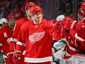 Winger Gustav Nyquist has been a catalyst for the Red Wings this season.