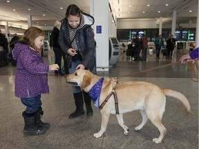 Diane Clark left, of Dollard-des-Ormeaux, and her dog Carson stop for a moment as René Poitras of Montreal says hello last Thursday. A squad made up of about 30 dogs and their volunteer masters are now roaming around the Trudeau airport terminal to distract and entertain passengers.