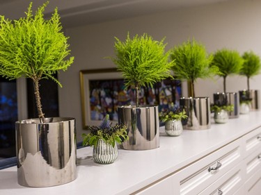 This home at 336 Minto Place is one of several done up for the Homes for the Holidays tour. November 16, 2018.
Potted lemon cypress trees speak perfectly to the home's combination of contemporary and traditional elements. These tiny trees, which stay small, line the top of a dresser that acts as a room divider and headboard as you enter the master bedroom, creating both needed storage and a sense of privacy.