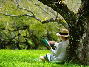 Files: Woman sitting under a tree reading a book in the park