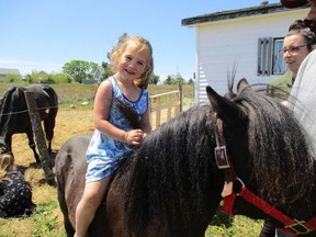 MaCali Cormier is shown in this undated handout photo. The four-year-old girl who died in a tragic accident at a Christmas parade is being remembered as a child who "loved helping other people" and had a passion for learning. MaCali Cormier died Saturday night after she fell under the wheels of a float during the annual Parade of Lights in Yarmouth, N.S. THE CANADIAN PRESS/HO - Cormier Family