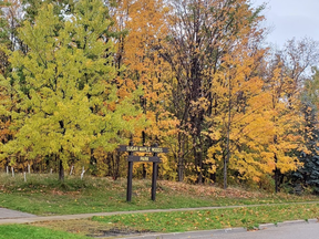 Sugar Maple Woods Park in Mississauga.