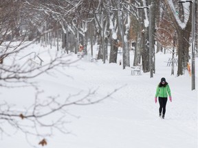 A person walks in a snow covered park.