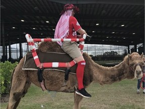 The Nationals brought several camels to their spring training complex Wednesday.