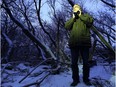 Bruce Di Labio is a veteran of the annual Christmas Bird Count, which this year marks its 100th anniversary.