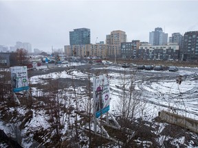 Right now, it's an open field. But LeBreton Flats needs something truly iconic to define it.
