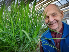 Dr Gerry Mulligan, seen here with some weeds he's growing in his research greenhouse at the Experimental Farm, runs a helpful website.